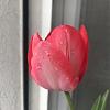 Gipa01