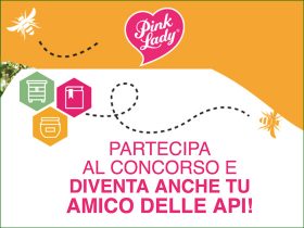 Concorso a premi Pink Lady