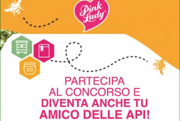 Concorso a premi Pink Lady
