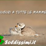 idee regalo per la festa della mamma