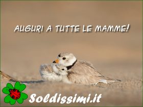 idee regalo per la festa della mamma