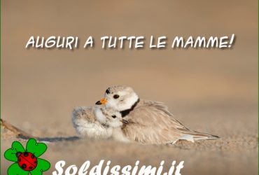 idee regalo per la festa della mamma