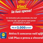 Vinci un anno di spesa da LIDL