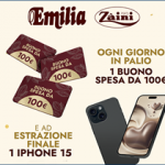 Concorso a premi Emilia Zaini