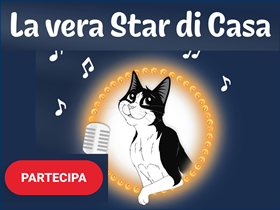 Concorso a premi Felix