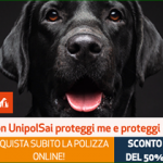 Proteggi il tuo cucciolo