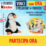 Concorso Kinder Fiocco