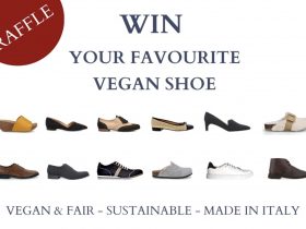vinci le scarpe vegane