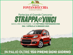 Vinci un auto con fontanavecchia