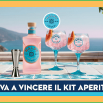 Vinci il kit aperitivo Malfy Gin