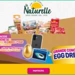 Grande concorso Egg Dream