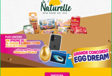 Grande concorso Egg Dream