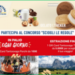 Vinci un viaggio da sogno con Sammontata
