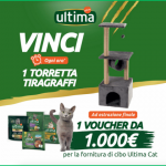 Vinci 1000 euro per il tuo gatto