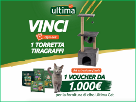 Vinci 1000 euro per il tuo gatto
