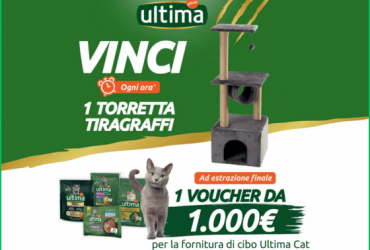 Vinci 1000 euro per il tuo gatto