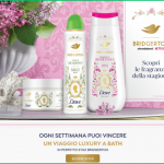 Concorso Dove Bridgerton