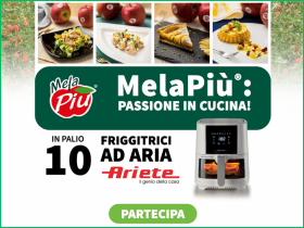 Concorso a premi Melapiu