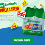 Vinci la spesa con Gaudianello