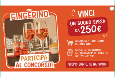 Vinci la spesa con Gingerino
